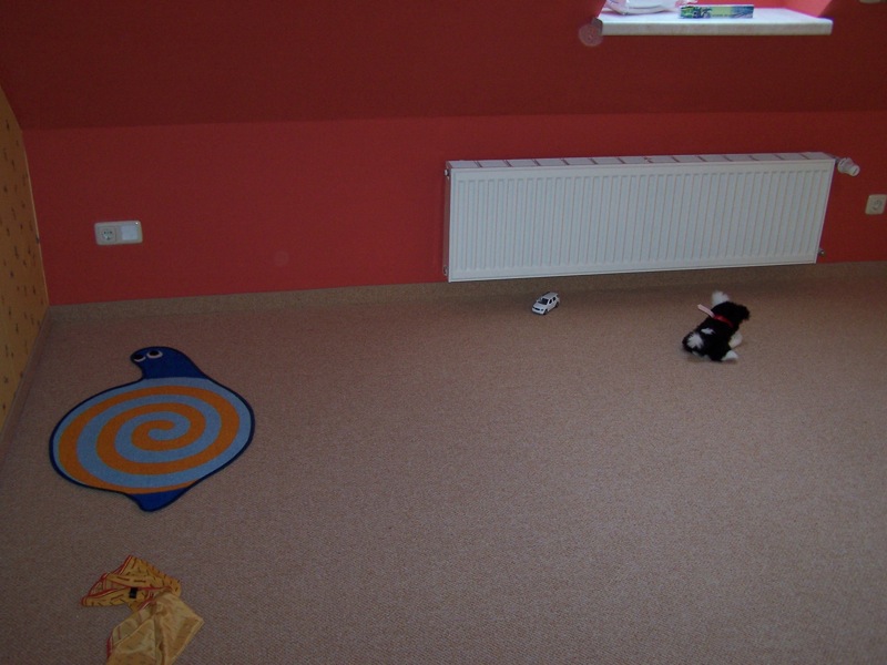 Loading Image